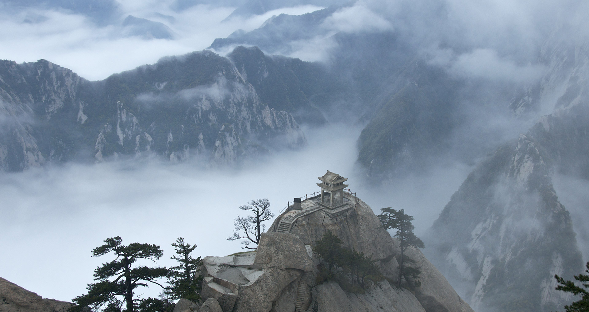 ddos攻击在哪能买到